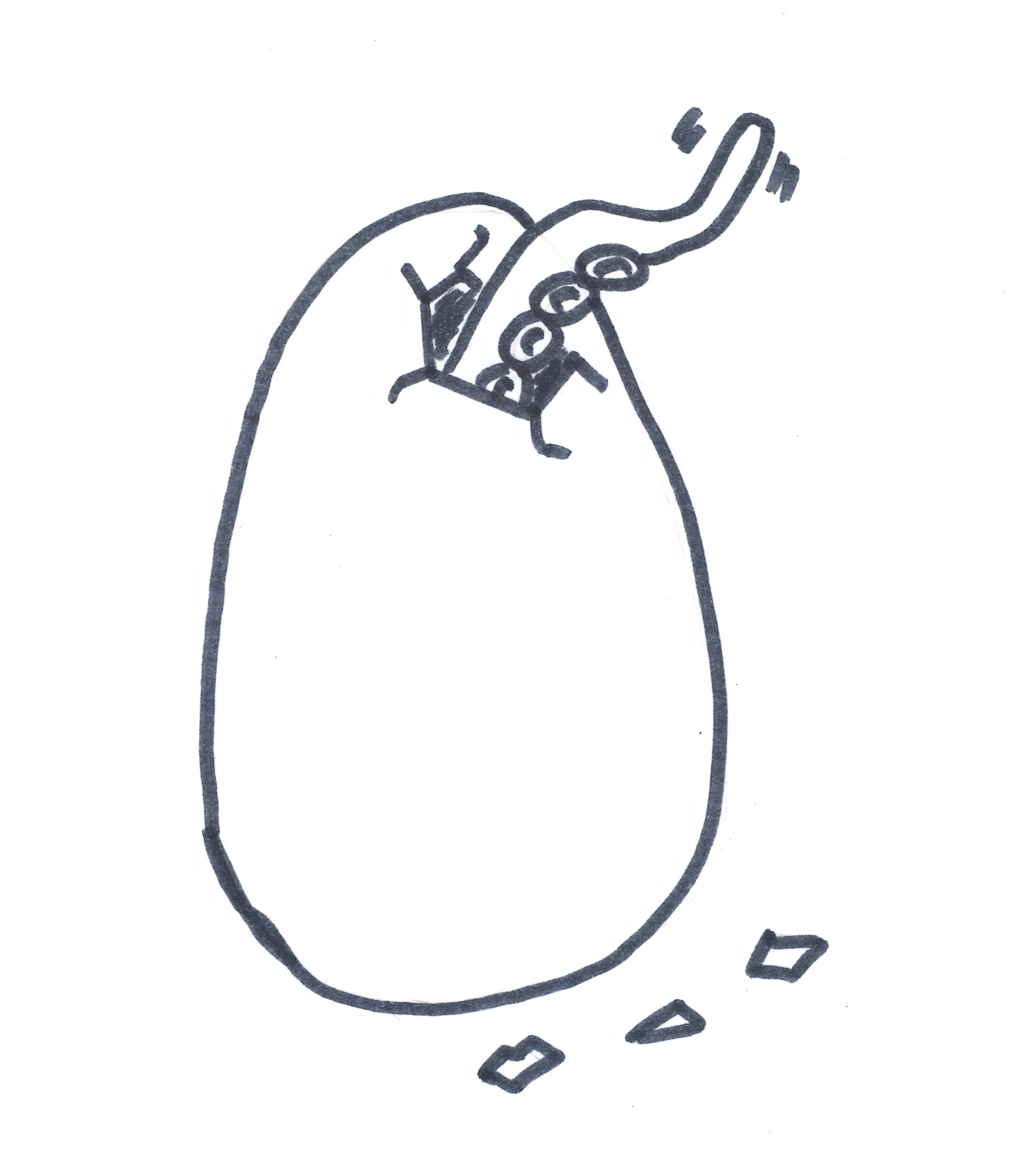 DESSINE MOI UN POULPE…